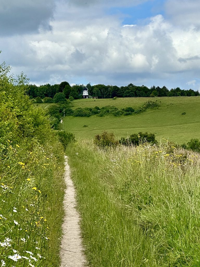 Bletcham Bound: Rolling Hills and Woodland Trails, 11 miles, moderate @ Finings Road car park | Lane End | England | United Kingdom